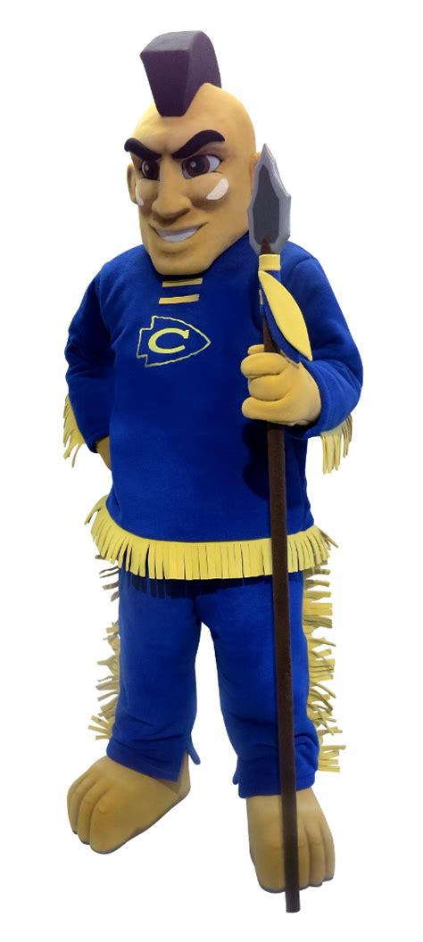 Mascot outfits for cheer teams